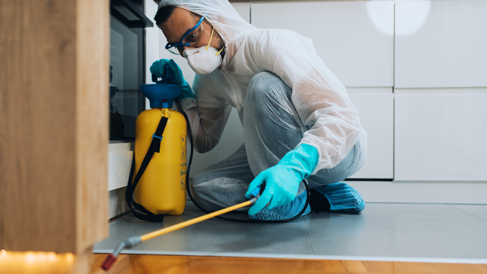 Pest Control Banner